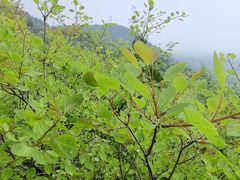 -北京雁栖湖国际会展中心