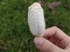 -桂溪生态公园