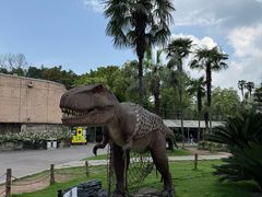 -自贡恐龙博物馆