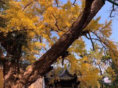 -无锡惠山寺