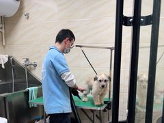 -安安宠医·安宠宠物医院