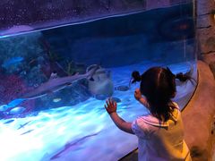 -沈阳海洋探索中心