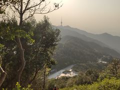 -梧桐山风景名胜区