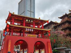 -越秀西湖花市(广州城市广场花卉店)