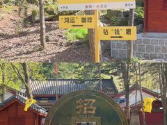 -洛阳白云山景区