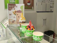 -Salud撒露欧洲冻酸奶(798艺术区店)