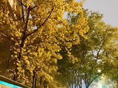 -北京八中游泳馆