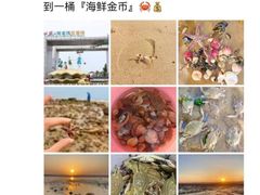 -日照海滨国家森林公园