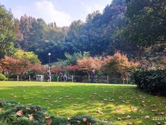 -杭州黄龙洞