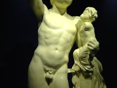 -成都泰迪熊博物馆