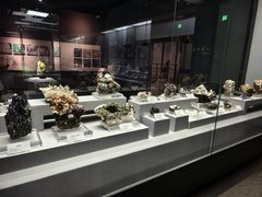 -湖南省地质博物馆