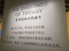 -Tiffany & Co.蒂芙尼
(南京德基广场店)