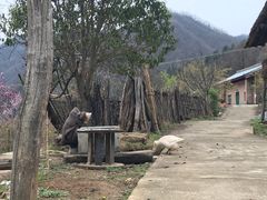 -黑河国家森林公园