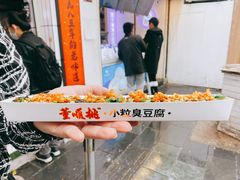 -董顺桃小粒臭豆腐(太平街一店)
