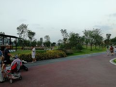 -府河摄影公园