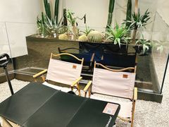 餐具摆设-J Create城市露营咖啡·简餐·宠物(上海动物园店)