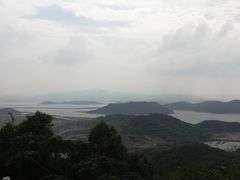 -黄贤森林公园