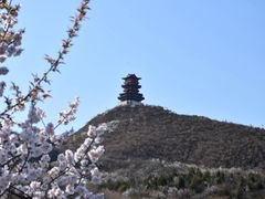 -定都阁