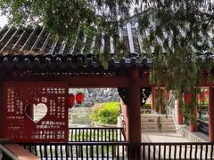 -广东花都湖国家湿地公园