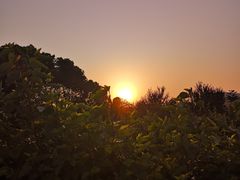 -呼吸森林·生态农庄农家乐私房菜