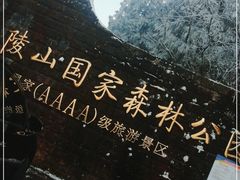 -武陵山森林公园