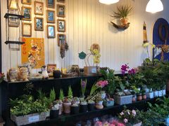 -花到家(富贵鸟花艺行)