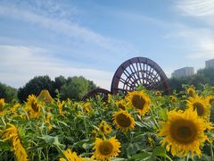 -长春公园(普阳街道)