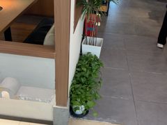 -沼津港精致料理·寿喜烧·烧鸟(青浦宝龙广场日料榜单店)