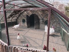 -南宫五洲植物乐园