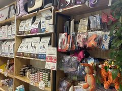 -中农大我爱我爱24h动物医院·中医针灸·猫专科·骨科医疗中心(双井店)