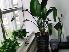 -新航道雅思托福·留学·考研培训(人民广场校区)