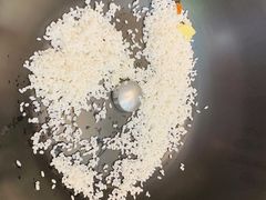 -海味当家(西安路店)