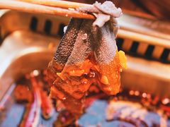 九鼎脆毛肚-九鼎轩脆毛肚火锅(三钢里店)