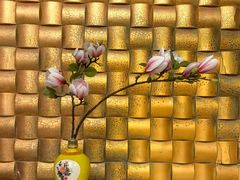 -金美华轩(东方路齐鲁店)