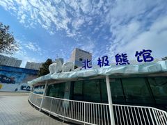 -海合安成都极地海洋公园