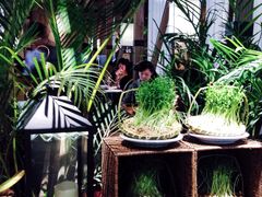 -大头椰·椰子鸡火锅(南宁万象城店)