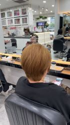 -YESIDO椰岛造型