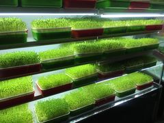 -番食园鲜食火锅(高新店)