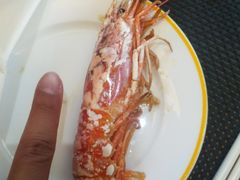 -昆山裕元花园酒店·温莎西餐厅