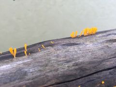 -天芳悦潭度假村温泉