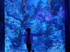 -新加坡海洋生态馆
