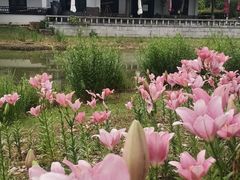 -无锡梅园公园