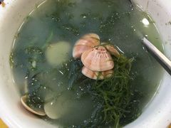 白贝汤-浩海美食店(闸坡店)