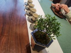 -美盛喜来登大酒店喜舍茶馆