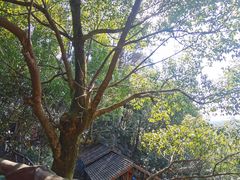 -宜春明月山维景国际温泉度假酒店
