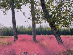 -汉长安城未央宫国家考古遗址公园