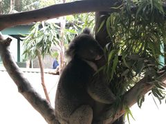 -费瑟代尔野生动物园