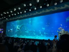 -烟台海昌鲸鲨海洋公园