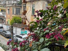 -西关84·History·Art·Cafe