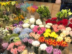 -双季花艺园艺市场(浦东店)